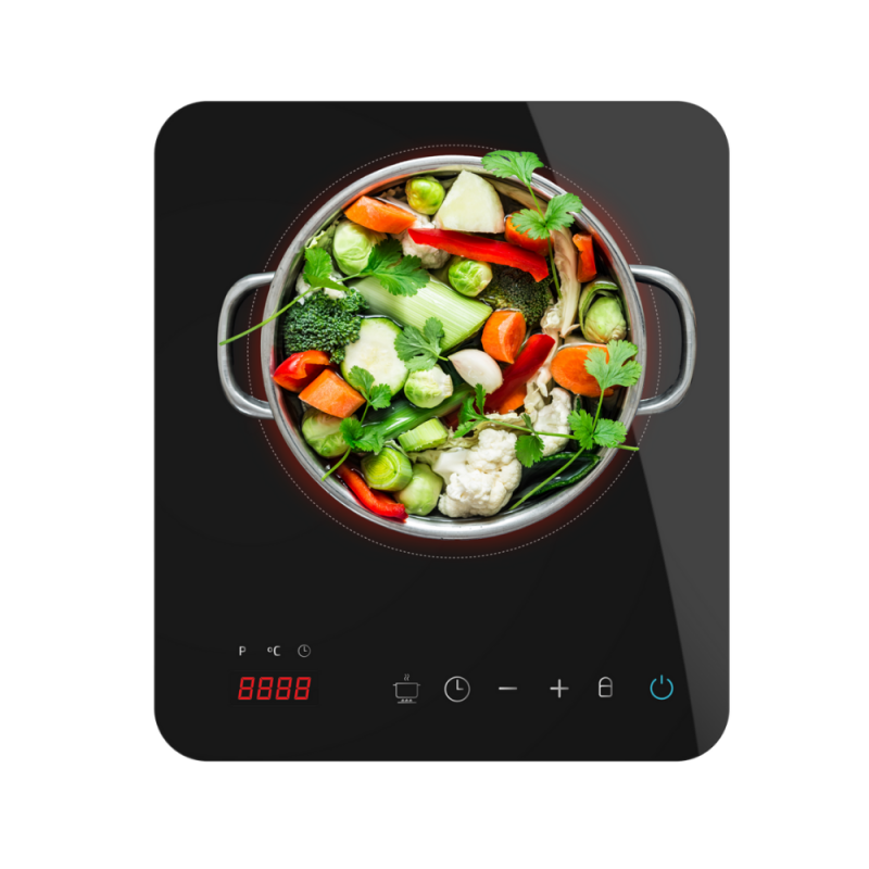 Indukcijska kuhalna plošča Cecotec Full Magma Single