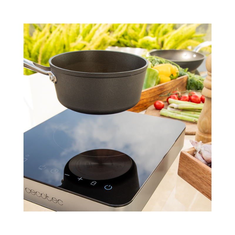 Indukcijska kuhalna plošča Cecotec Full Magma Single