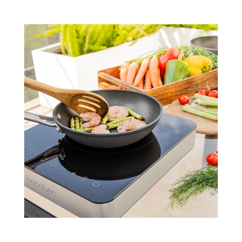 Indukcijska kuhalna plošča Cecotec Full Magma Single