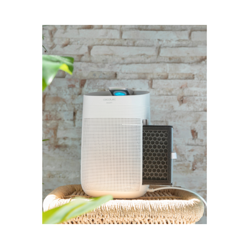 Filter zraka za čistilec zraka Cecotec BigDry 3000 PureLight/PureLight Black