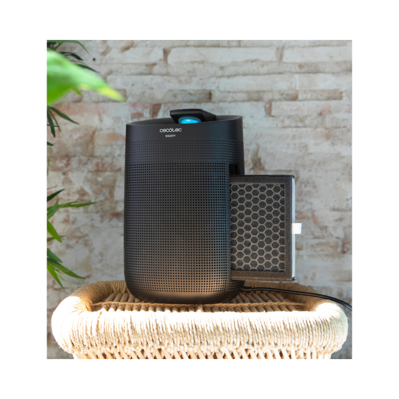 Filter zraka za čistilec zraka Cecotec BigDry 3000 PureLight/PureLight Black