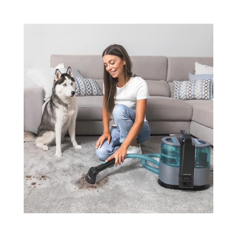 Sesalnik za oblazinjeno pohištvo Cecotec Conga 4000 Carpet