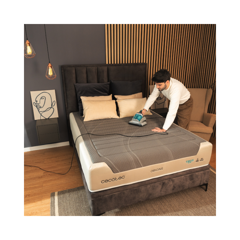 Sesalnik za oblazinjeno pohištvo Cecotec Conga Popstar 4000 Mattress