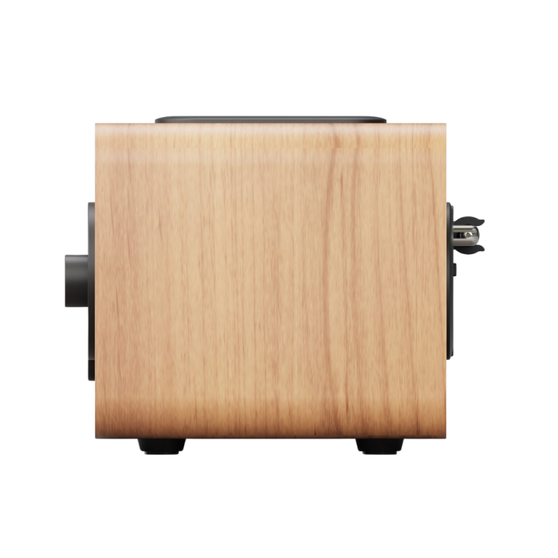 Prenosni DAB radio Blaupunkt DR10CR