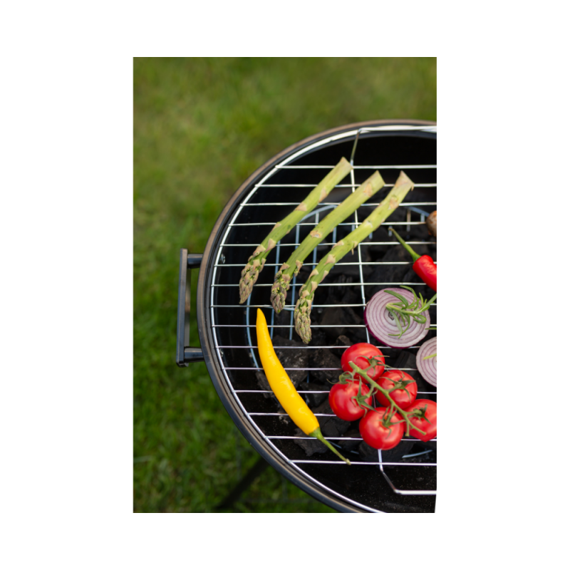 Žar na oglje Blaupunkt GC401