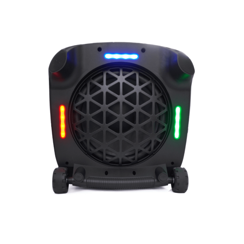 Karaoke zvočnik Blaupunkt PB100X