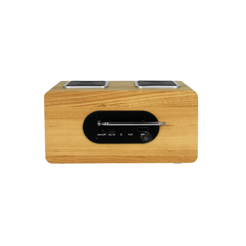 Prenosni radio Blaupunkt PP5.2CR