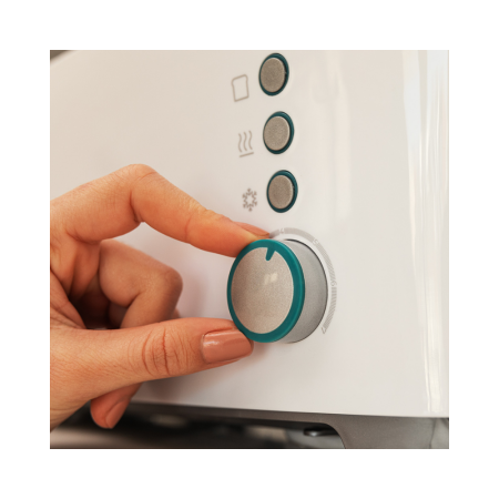 Toaster Cecotec Toast
