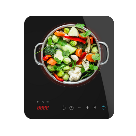 Indukcijska kuhalna plošča Cecotec Full Magma Single