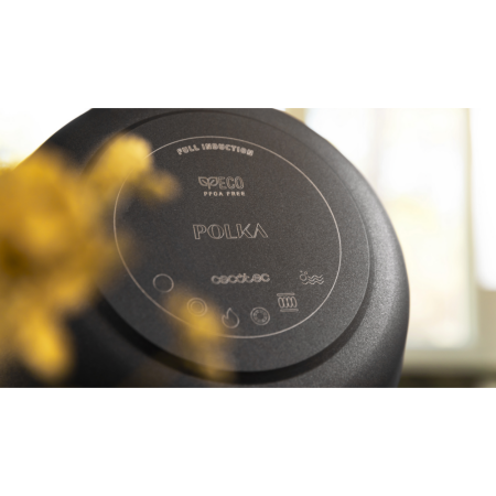 Nizek lonec Cecotec Polka Experience 28 Low Pot Titan