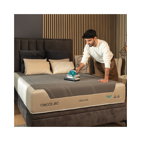 Sesalnik za oblazinjeno pohištvo Cecotec Conga Popstar 4000 Mattress