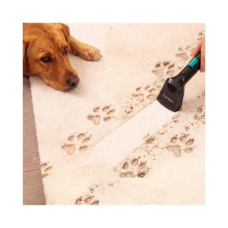 Sesalnik za oblazinjeno pohištvo Cecotec Conga 6000 Carpet