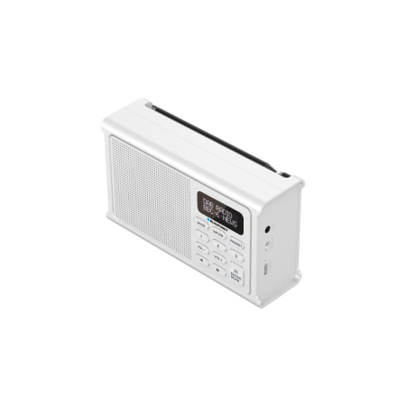 Prenosni DAB radio Blaupunkt DR3WH