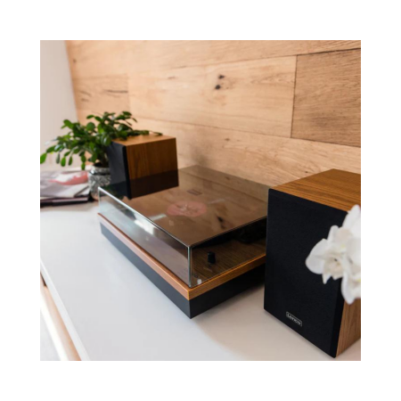 Gramofon Lenco LS-300WD