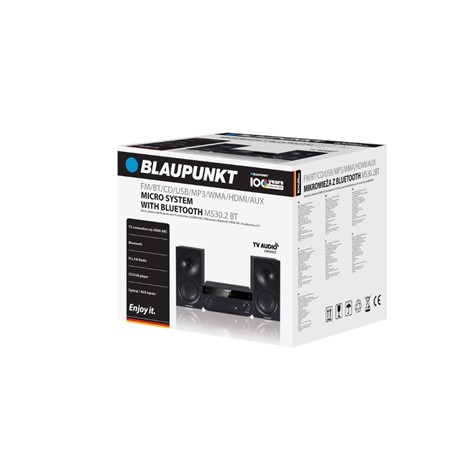 Glasbeni stolp Blaupunkt MS30.2BT