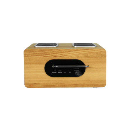 Prenosni radio Blaupunkt PP5.2CR