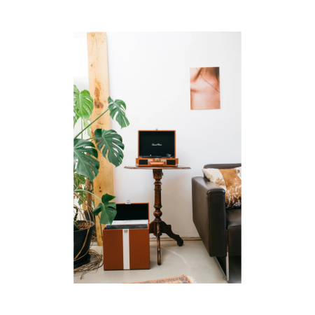 Gramofon Lenco TT-10BN