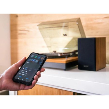 Gramofon Lenco LS-300WD